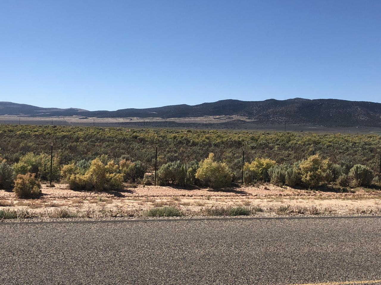  Hwy 56 Frontage - Photo 1