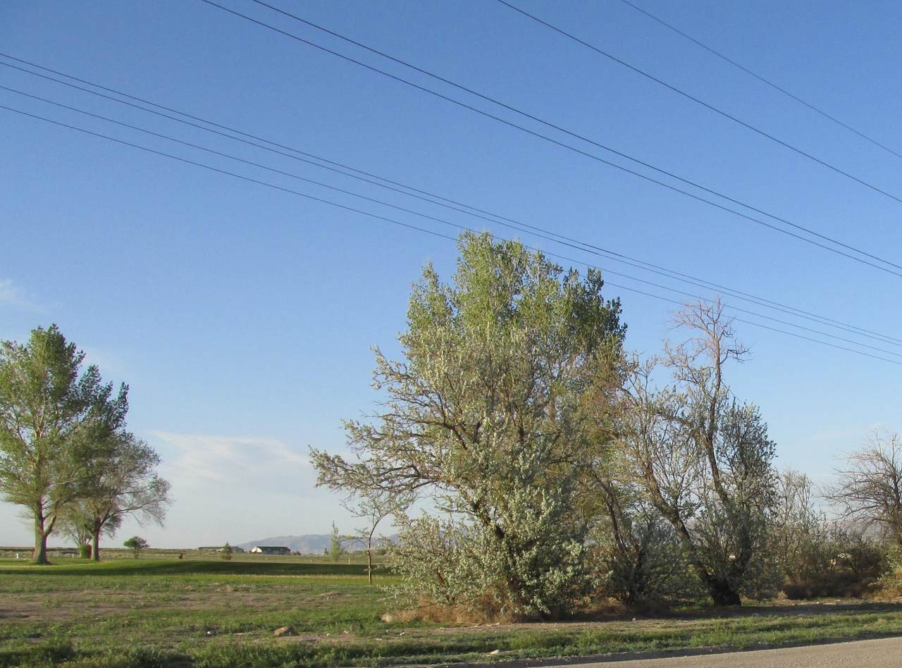 2 Lots Corner Golf Course - Photo 1