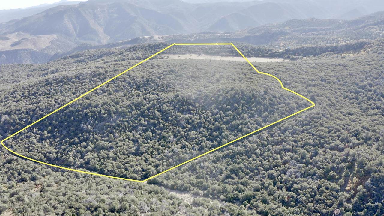 Parcel 2 Summit Mountain Rd - Photo 1