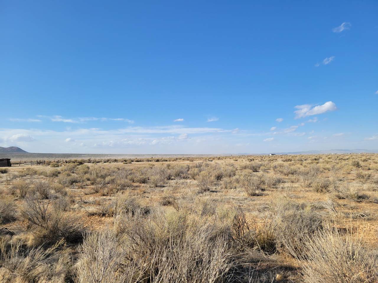 4000 Frontage - Photo 1