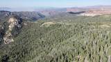 20 acres West Of Dry Lakes Rd - Photo 4