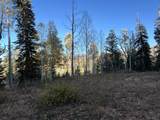 660 Ski View Dr - Photo 10