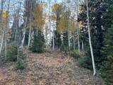 660 Ski View Dr - Photo 7