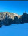  Cedar Mountain Ashdown Gorge-B - Photo 5