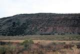 59.39 Acs Dalton Wash Rd - Photo 11