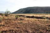 59.39 Acs Dalton Wash Rd - Photo 5