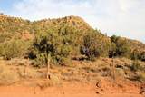 59.39 Acs Dalton Wash Rd - Photo 6