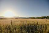 1500 Hwy 357 - Photo 10