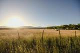 1500 Hwy 357 - Photo 9