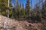 271 Deer Trail - Photo 12