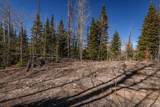 271 Deer Trail - Photo 15