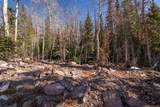 271 Deer Trail - Photo 20