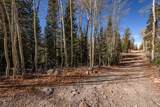 271 Deer Trail - Photo 21