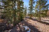 271 Deer Trail - Photo 23