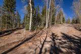 271 Deer Trail - Photo 24