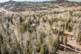 271 Deer Trail - Photo 29