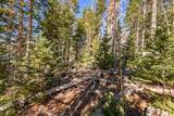 271 Deer Trail - Photo 31