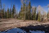 271 Deer Trail - Photo 35