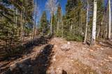 271 Deer Trail - Photo 38