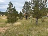 2150 Ridge View Rd - Photo 3