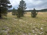 2150 Ridge View Rd - Photo 4