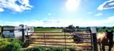  10.77 Acres Parcel: B-1548-000 - Photo 6