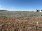 1250 Hwy 21 - Photo 4