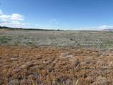 1250 Hwy 21 - Photo 5