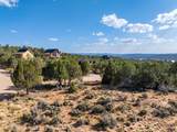 Prickley Pear Cir/Pinyon Pine - Photo 12