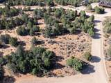  Prickley Pear Cir/Pinyon Pine - Photo 3