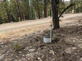 695 Debonair Dr - Photo 2