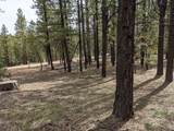 695 Debonair Dr - Photo 3