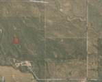 2.5 Acres E-1743-0002-0000 - Photo 4