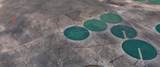 2.5 Acres E-1743-0002-0000 - Photo 6