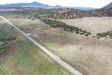  50.63 Acres Hwy 56 - Photo 13