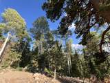 Ponderosa West Village Lot 134 - Photo 4