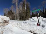 370 Arrowleaf Dr - Photo 3