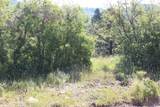 2267 High Mountain View Dr - Photo 2