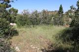 2267 High Mountain View Dr - Photo 3