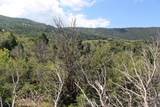 2267 High Mountain View Dr - Photo 8