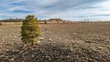 68 Acres Johns Valley Rd - Photo 27