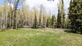 630 Park-U-Pine - Photo 7