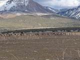  County Road 4616 - Photo 10