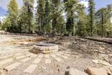 1740 Ponderosa View Lp - Photo 12