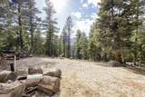 1740 Ponderosa View Lp - Photo 13