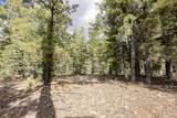 1740 Ponderosa View Lp - Photo 14