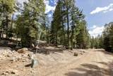 1740 Ponderosa View Lp - Photo 6