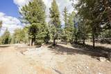 1740 Ponderosa View Lp - Photo 7
