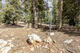 1740 Ponderosa View Lp - Photo 8