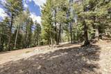 1740 Ponderosa View Lp - Photo 9